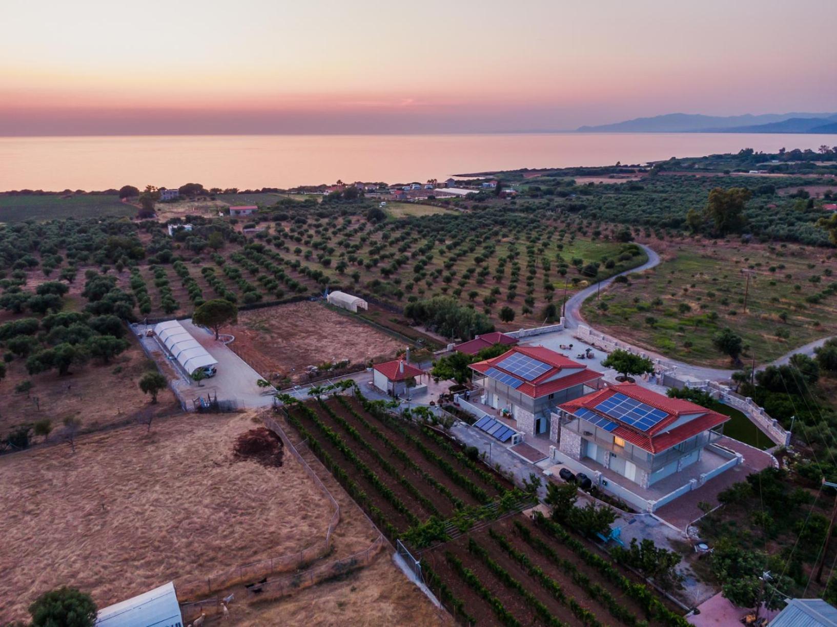 Terra Helios Suites & Studios Kyparissia Zewnętrze zdjęcie