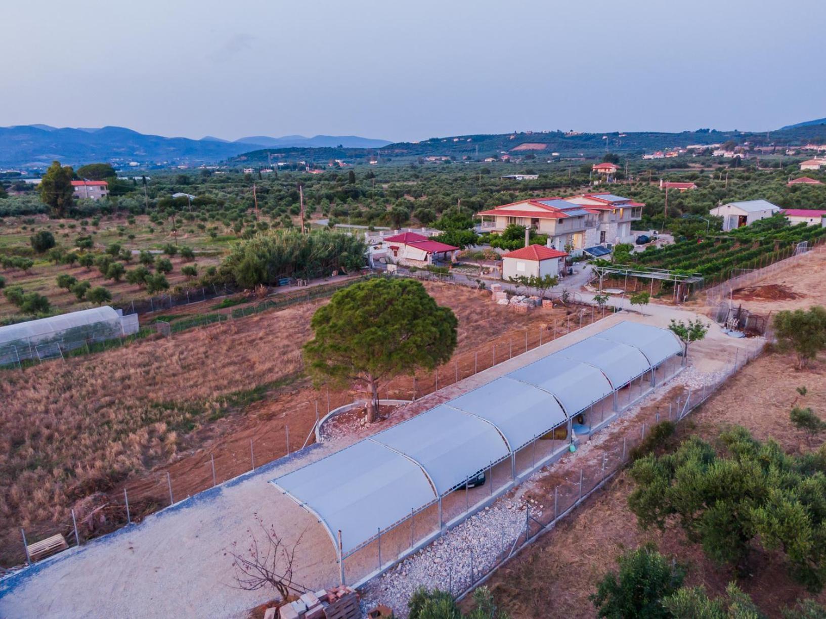 Terra Helios Suites & Studios Kyparissia Zewnętrze zdjęcie