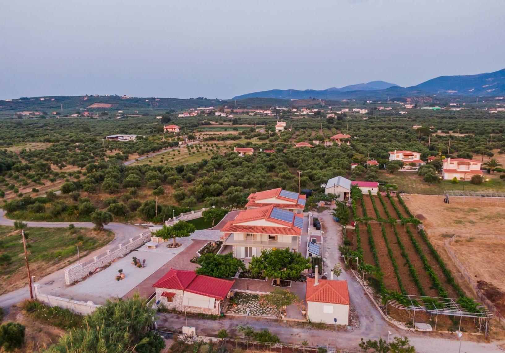 Terra Helios Suites & Studios Kyparissia Zewnętrze zdjęcie